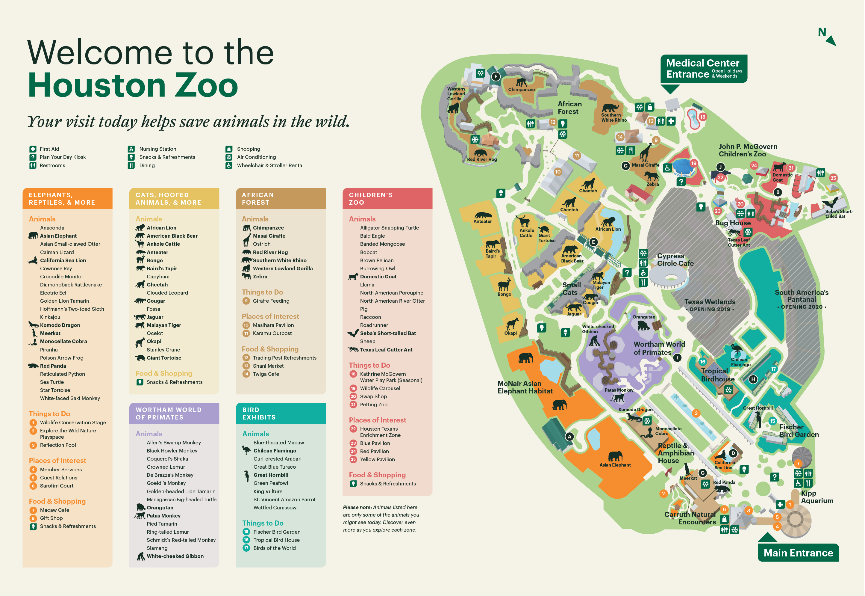 houston zoo map of animals