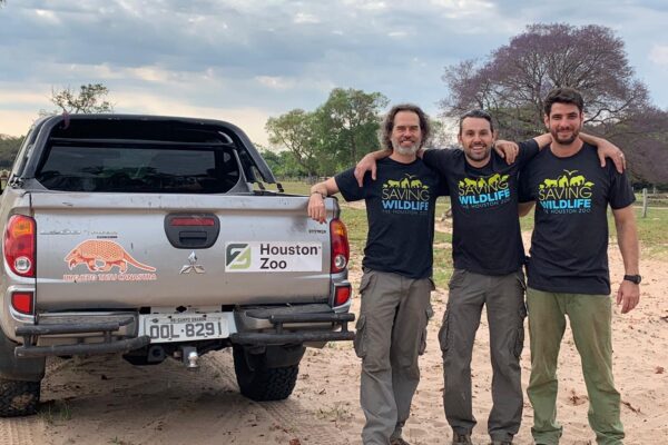 Zoo News Blog The Houston Zoo