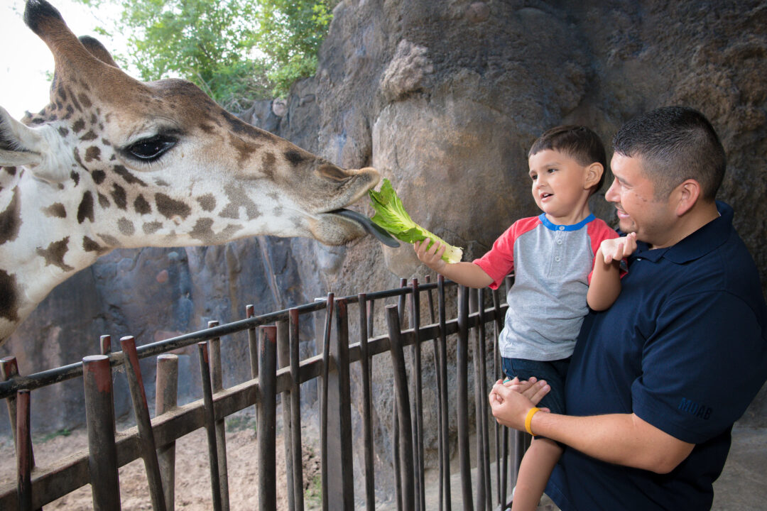 Father's day at Houston Zoo