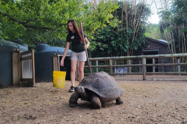 Adult Volunteers - The Houston Zoo