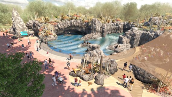 Galapagos sea lion exhibit rendering