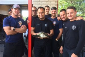 Houston Zoo Receives Rescued Sea Turtle in Sharpstown