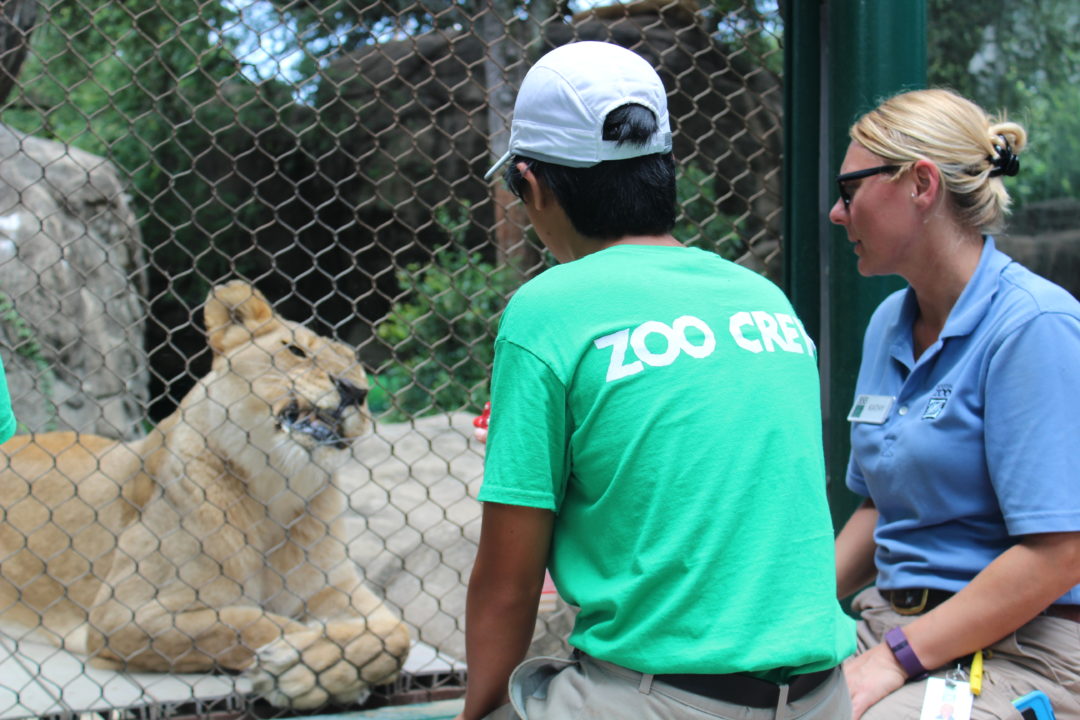 Casual and comfortable for a trip to the Houston Zoo. All the