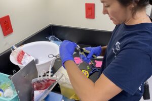 Celebrating Our Veterinary Technicians – Meet Jennifer