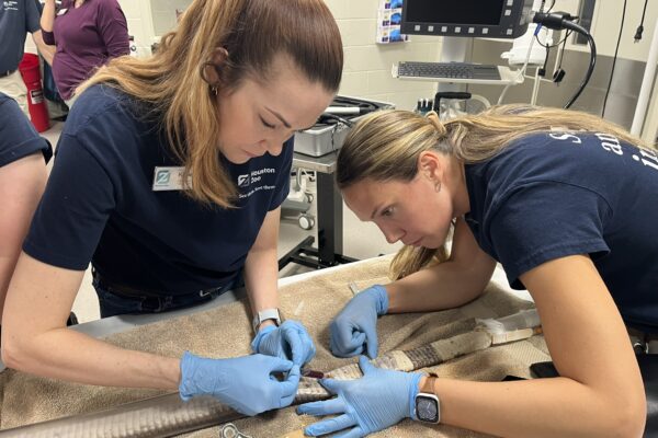 Veterinary Technician Appreciation Week