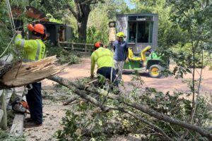 How the Houston Zoo Weathered Hurricane Beryl