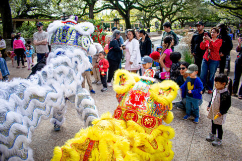 Houston Zoo Lunar New Year 2026 celebration Year of the Fire Horse cultural programming
