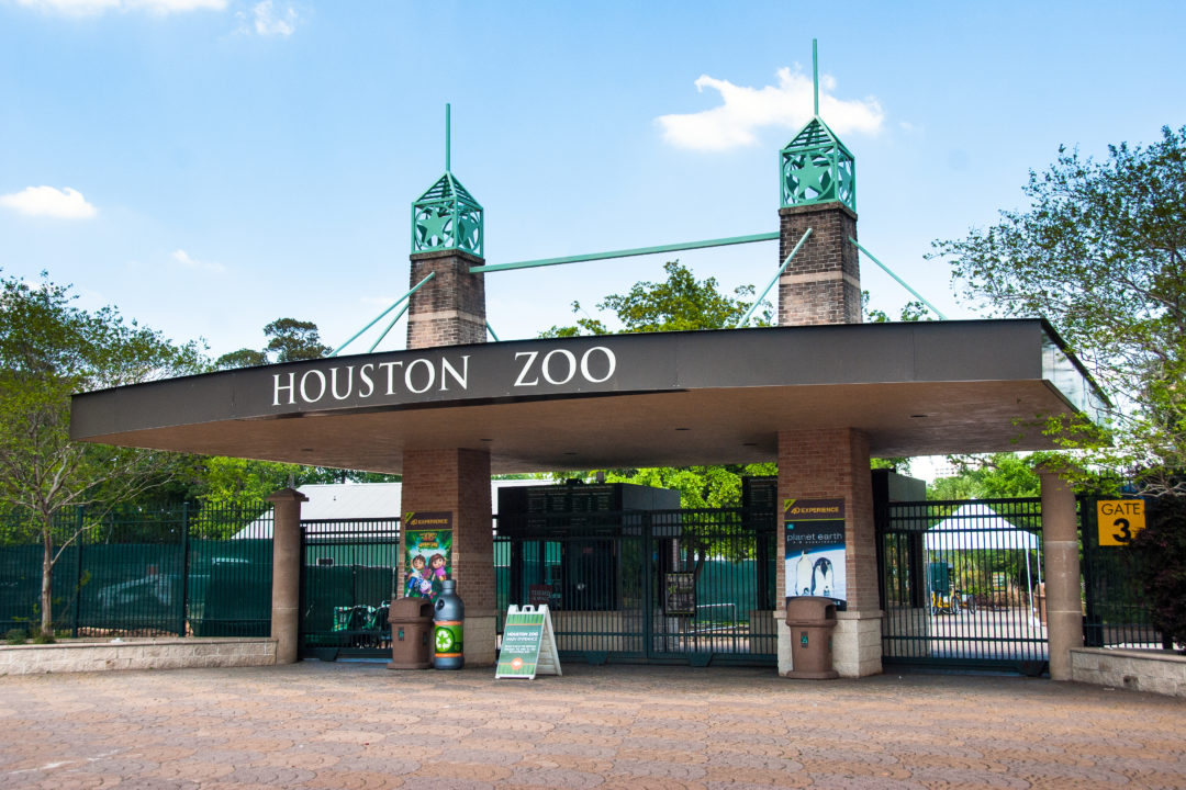 Exhibits The Houston Zoo