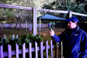Behind the Scenes Animal Care at Zoo Lights