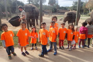Campers Give Elephants the Gift of Grub Through Beautiful Browse Bouquets