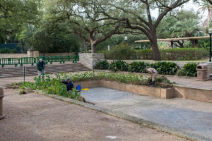 Reflection Pool Gets a New Look