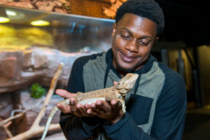 Reptile and Amphibian Encounter