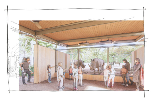 Houston Zoo Begins Multi-Year Africa Habitat Upgrades