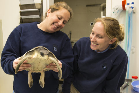 Eliminating Single-Use Plastic Straws - The Houston Zoo