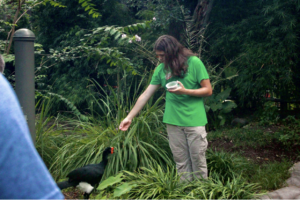 Junior Zookeeping and Enrichment