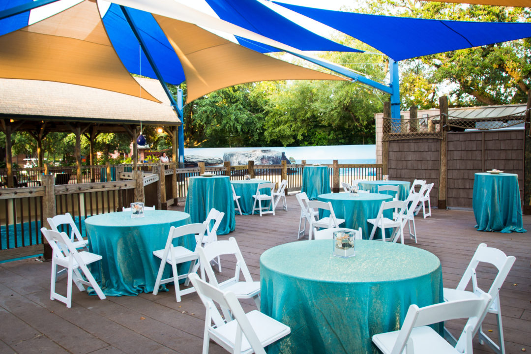 Host An Event The Houston Zoo