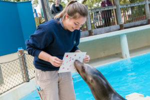 Let’s Talk Animal Enrichment