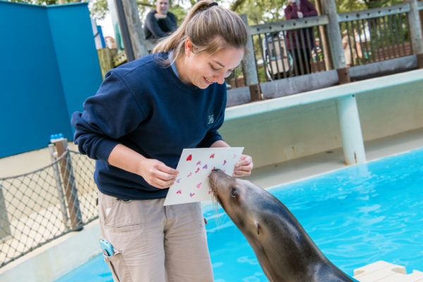Let’s Talk Animal Enrichment