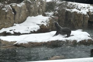 Our Top 10 Memorable Moments of 2025