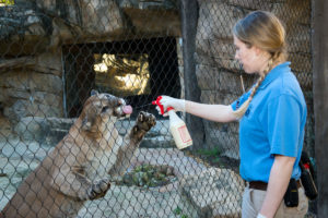 Carnivore Training – Animal School