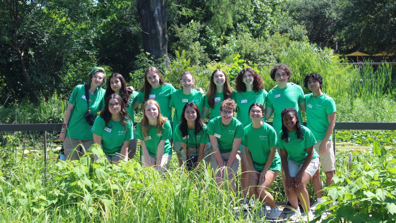 Teen Leadership Council