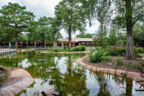 Texas Wetlands habitat at the Houston Zoo