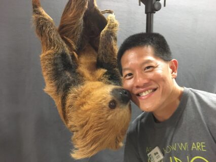 Volunteer Bing posing with our sloth Curly.
