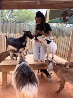 Volunteer Domonique at the goat yard