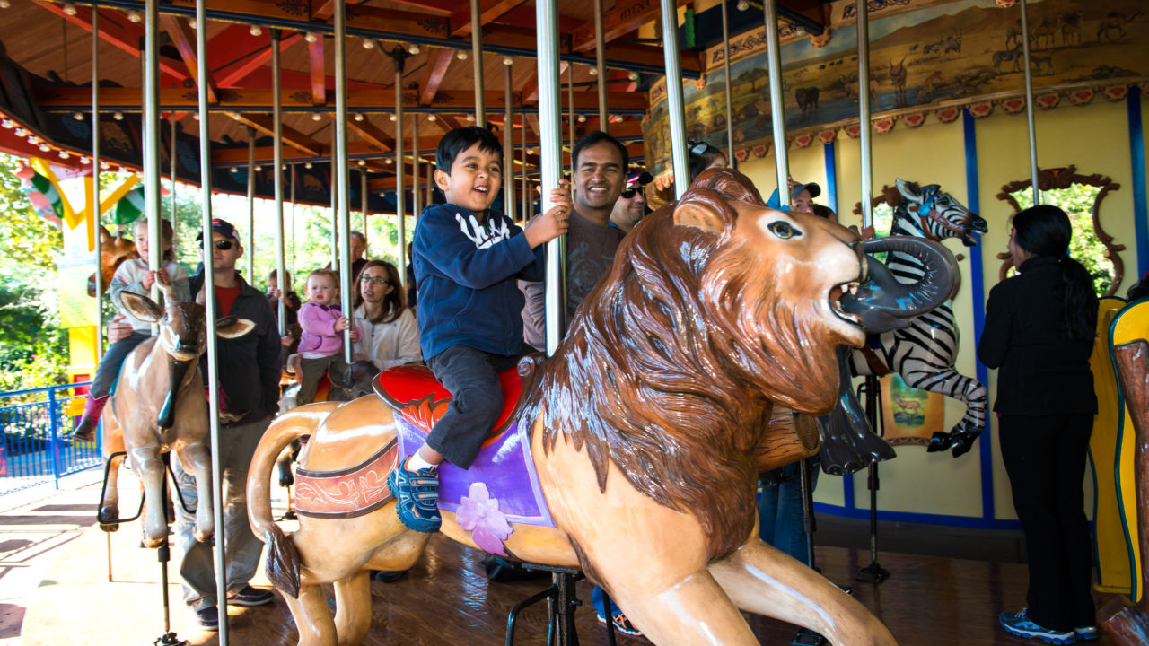 up-close shot of child riding wildlife carousel at the Zoo