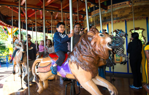 up-close shot of child riding wildlife carousel at the Zoo