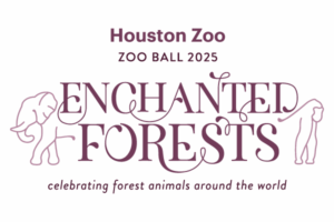 Zoo Ball 2025