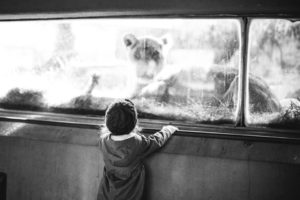 July’s Featured Member – Ashley England
