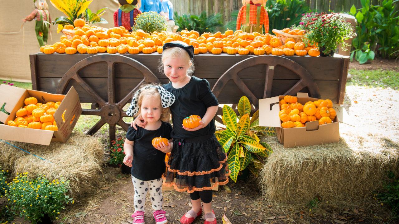 Zoo Boo The Houston Zoo