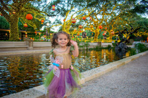 Turn Your Fall Nights Into Zoo Nights at Houston Zoo