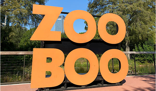 Zoo tycoon 2 exhibit idea  Zoo project, Zoo boo, Zoo