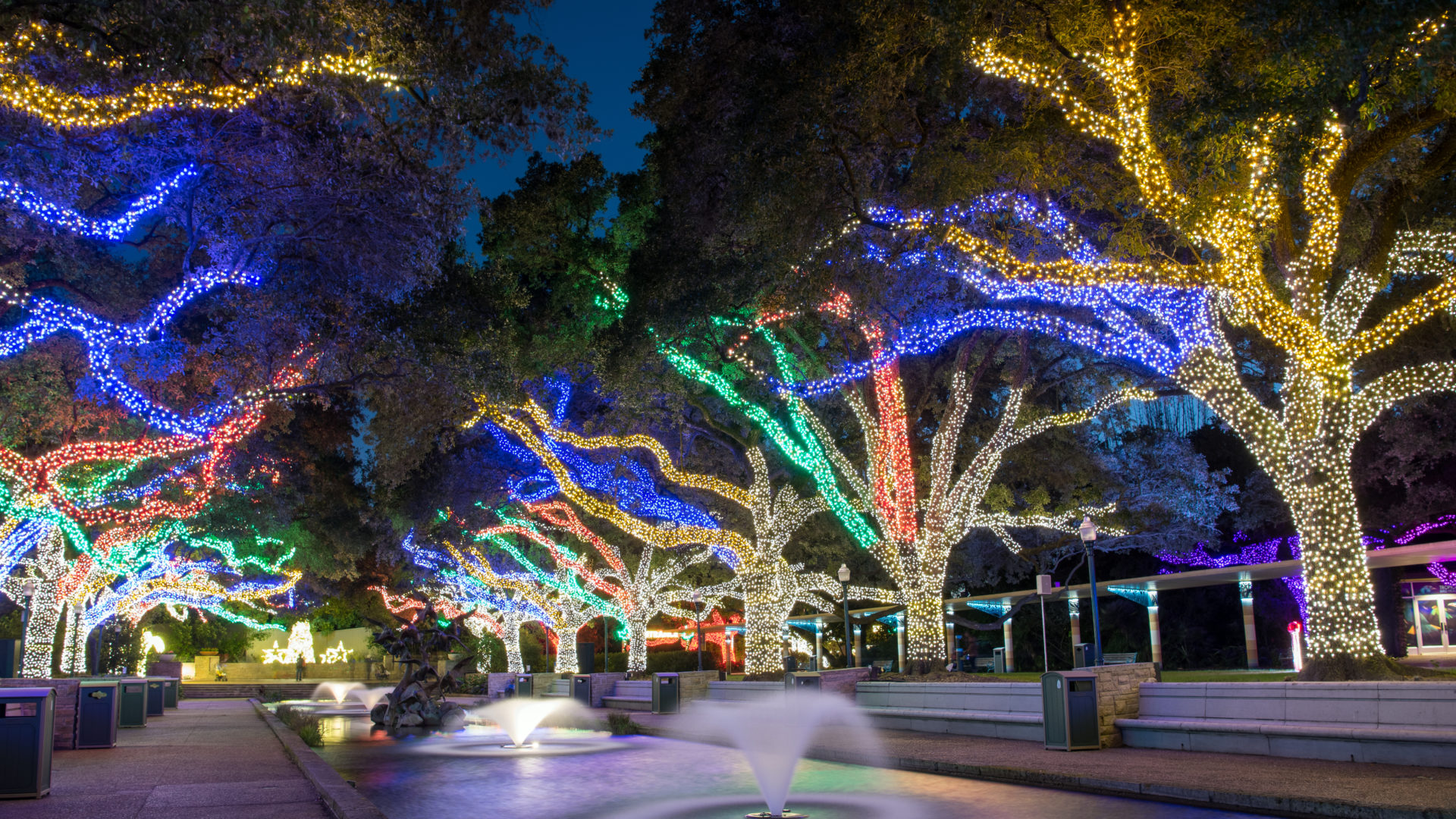 Zoo Lights Member Preview Nights The Houston Zoo