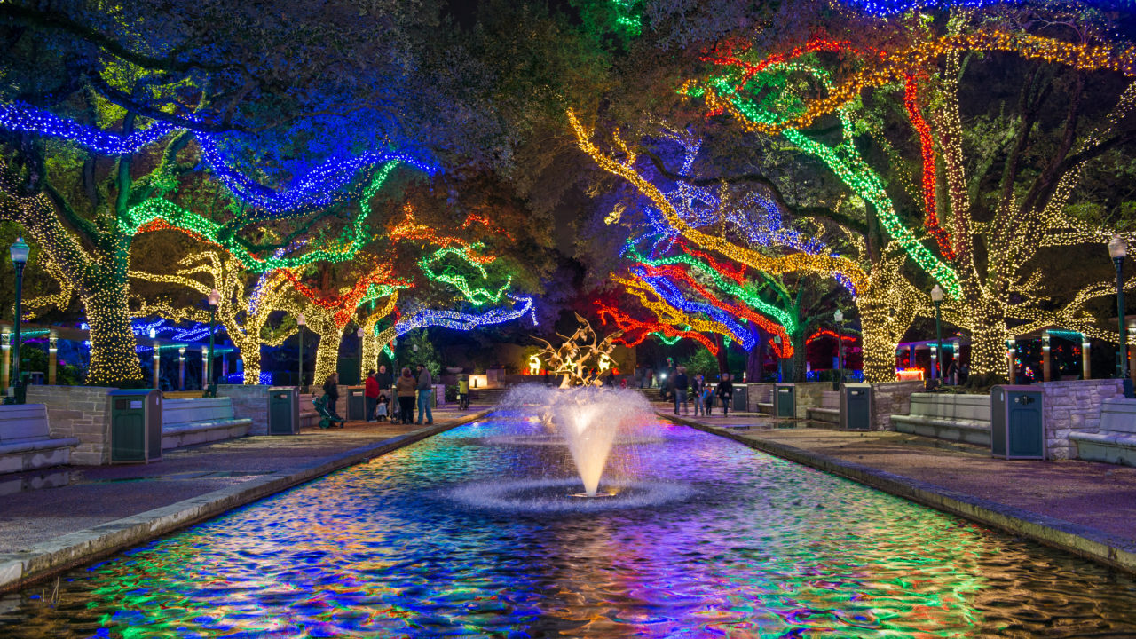 Txu Energy Presents Zoo Lights The Houston Zoo