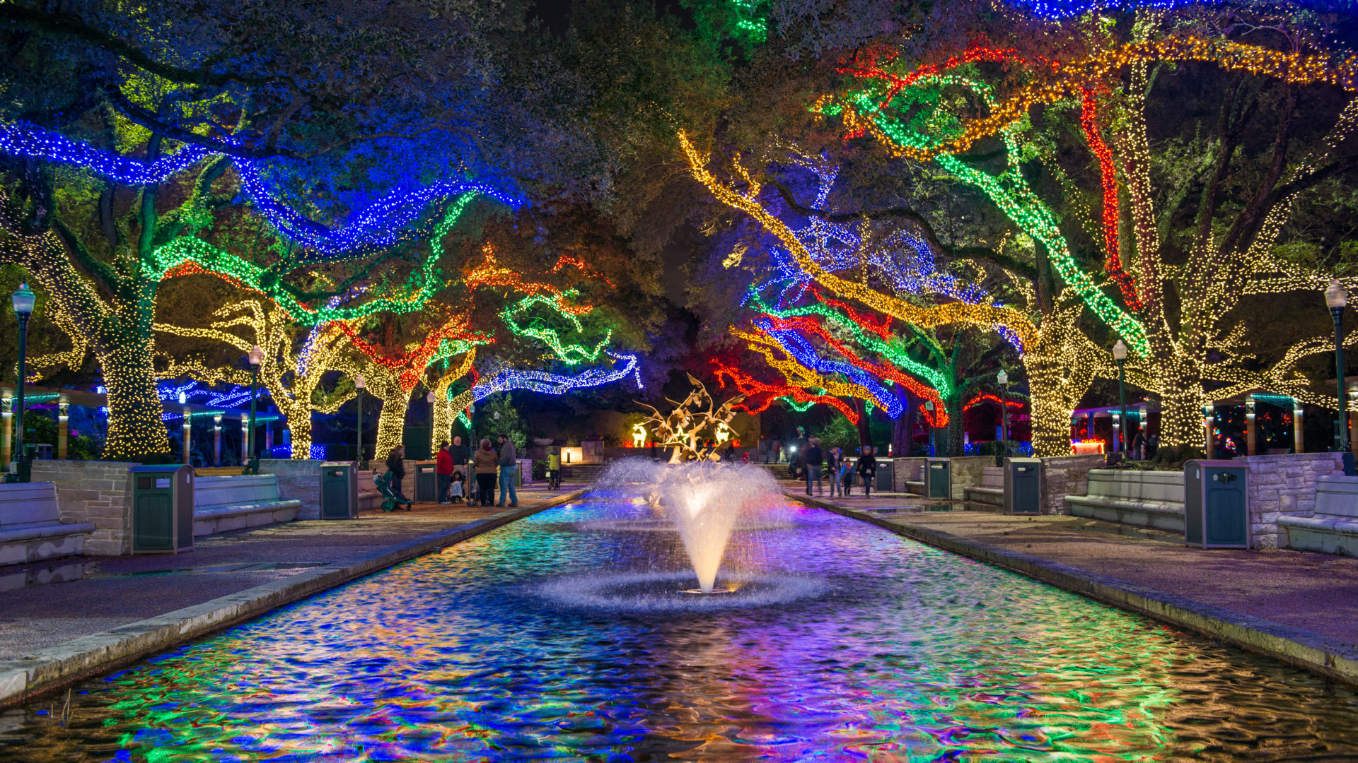 TXU Energy Presents Zoo Lights The Houston Zoo