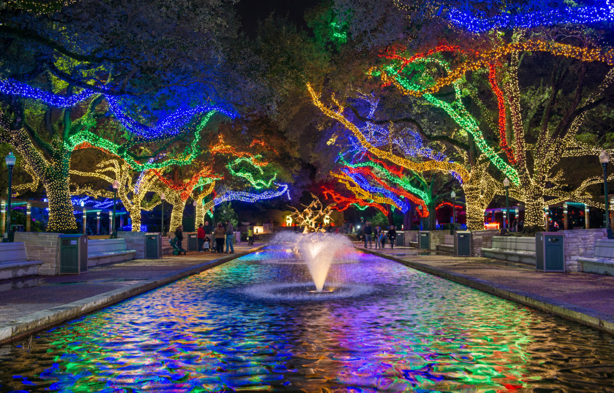 It’s Beginning to Look A Lot Like Zoo Lights The Houston Zoo