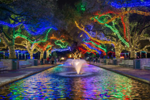 It’s Beginning to Look A Lot Like Zoo Lights