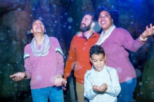 Zoo Lights Member Preview Nights