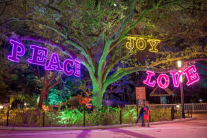 TXU Energy presents Zoo Lights