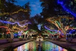 TXU Energy presents Zoo Lights