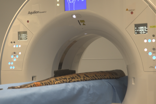 Golden Years, Cutting-Edge Care