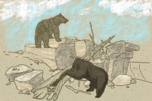 Redesigned Bear Habitat Coming Soon