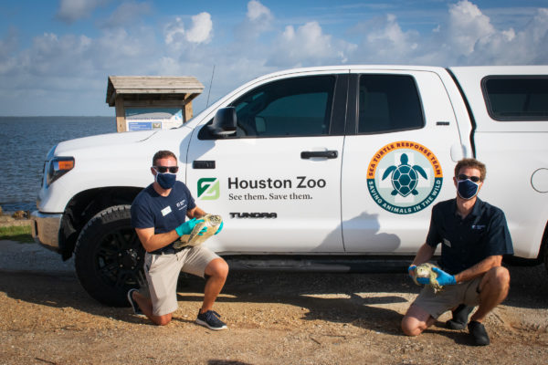 A Second Chance for Two Sea Turtles