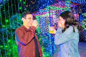 Brew Lights