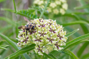 April Member Morning