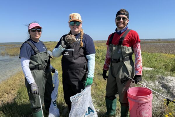 Saving Whooping Cranes in the Wild