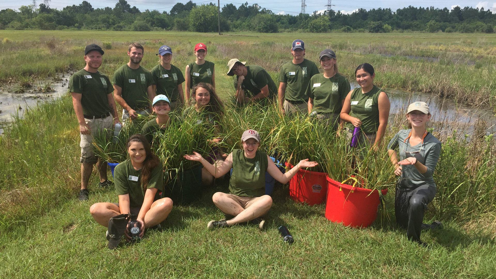 Collegiate Conservation Program - The Houston Zoo